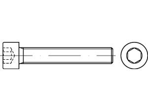  8.8 galv. verzinkt Zylinderschrauben ISO 4762 Gewinde bis Auge Durchmesser 4 